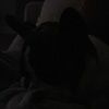 robertsylves130